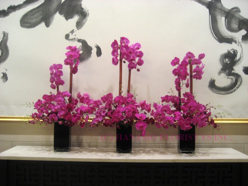 CRED002 Phalaenopsis Arrangement